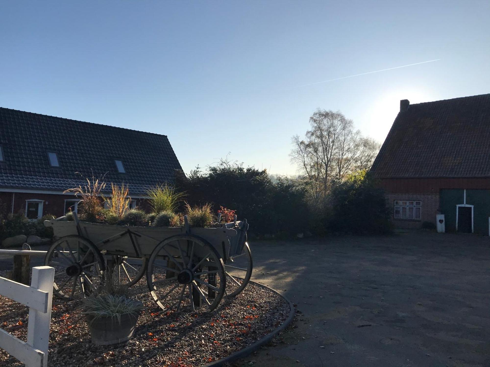 Moderne Ferienwohnung Auf Gut Bennewohld Wl Heide  Buitenkant foto