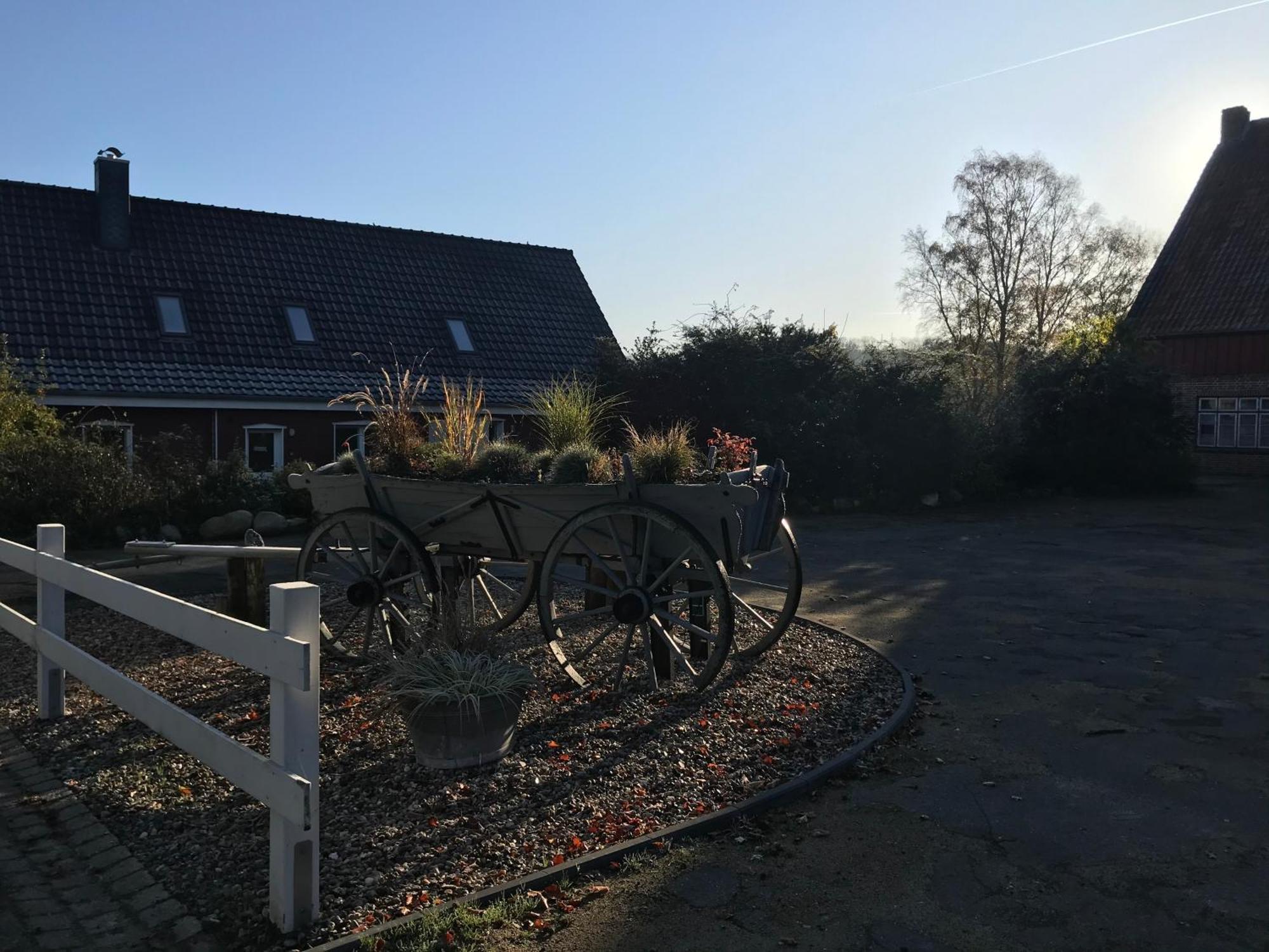 Moderne Ferienwohnung Auf Gut Bennewohld Wl Heide  Buitenkant foto